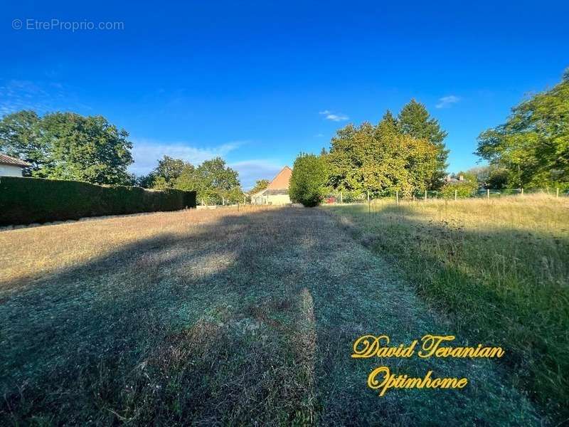 Terrain à PRUNIERS-EN-SOLOGNE