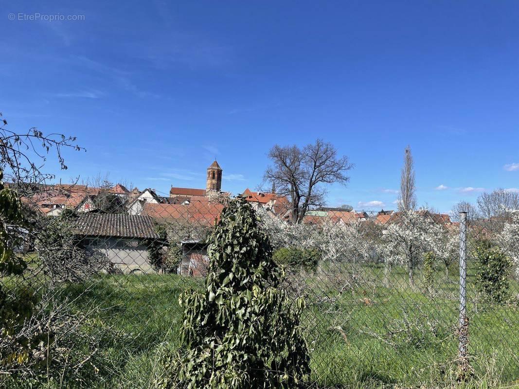 Appartement à ROSHEIM