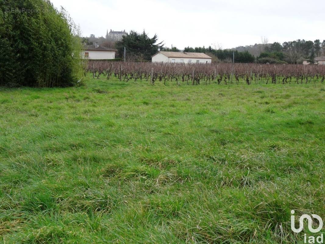 Photo 1 - Terrain à BUZET-SUR-BAISE