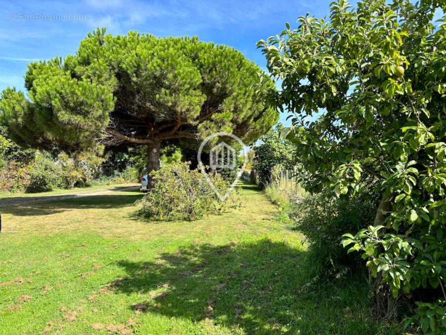 Terrain à NOIRMOUTIER-EN-L&#039;ILE