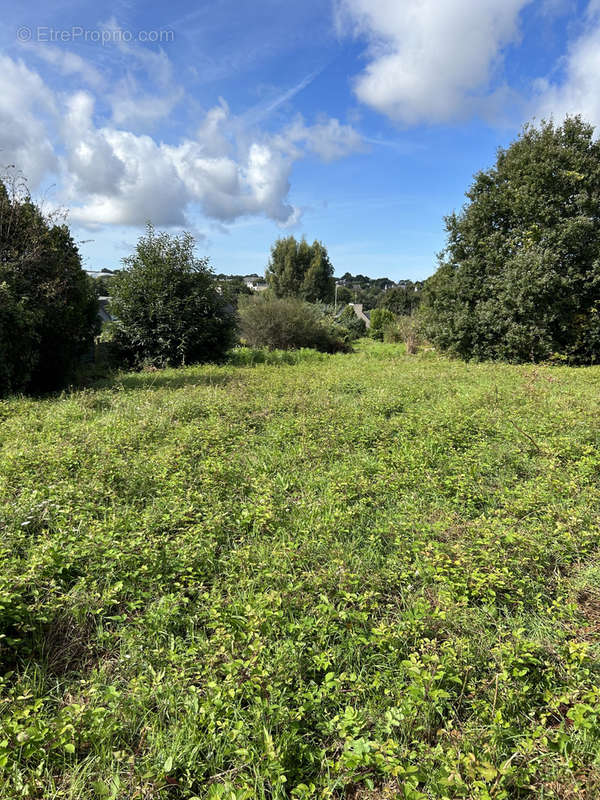 Terrain à LANESTER