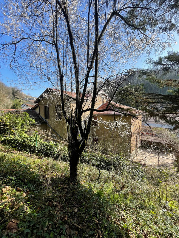 Maison à TREVOUX