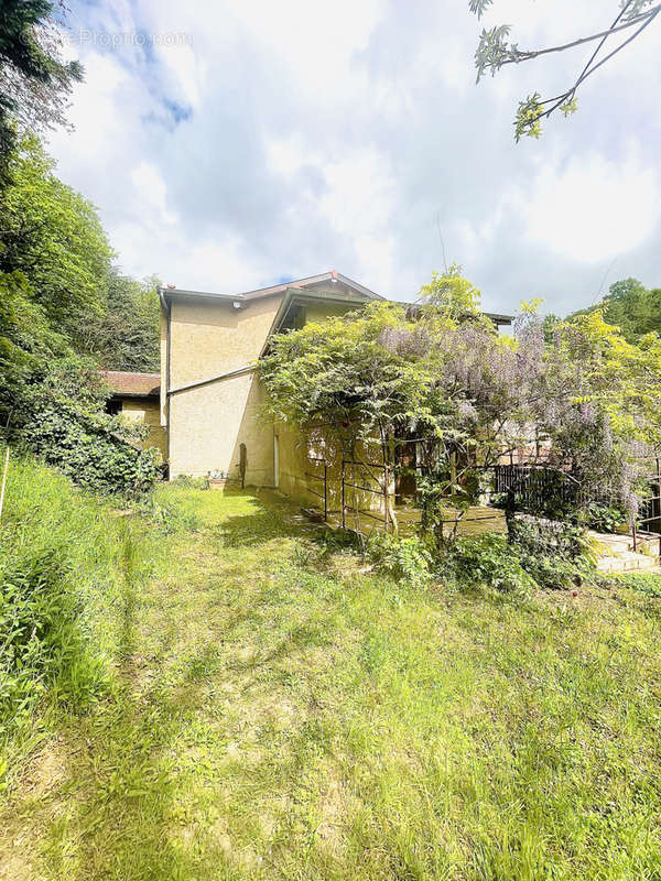 Maison à TREVOUX