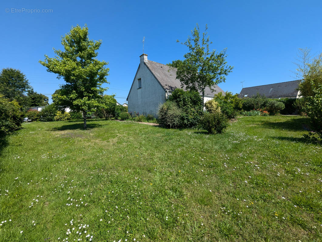 Maison à GUEMENE-PENFAO