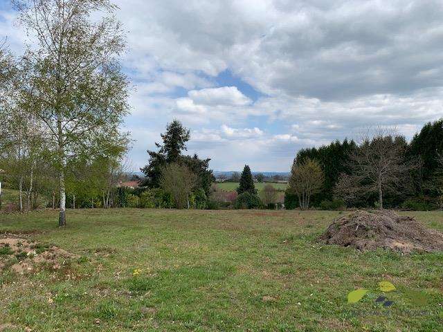 Terrain à SAINT-DENIS-DES-MURS