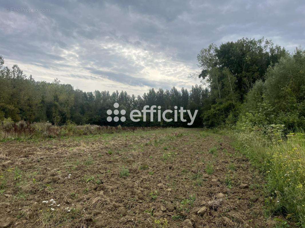 Terrain à BLERANCOURT