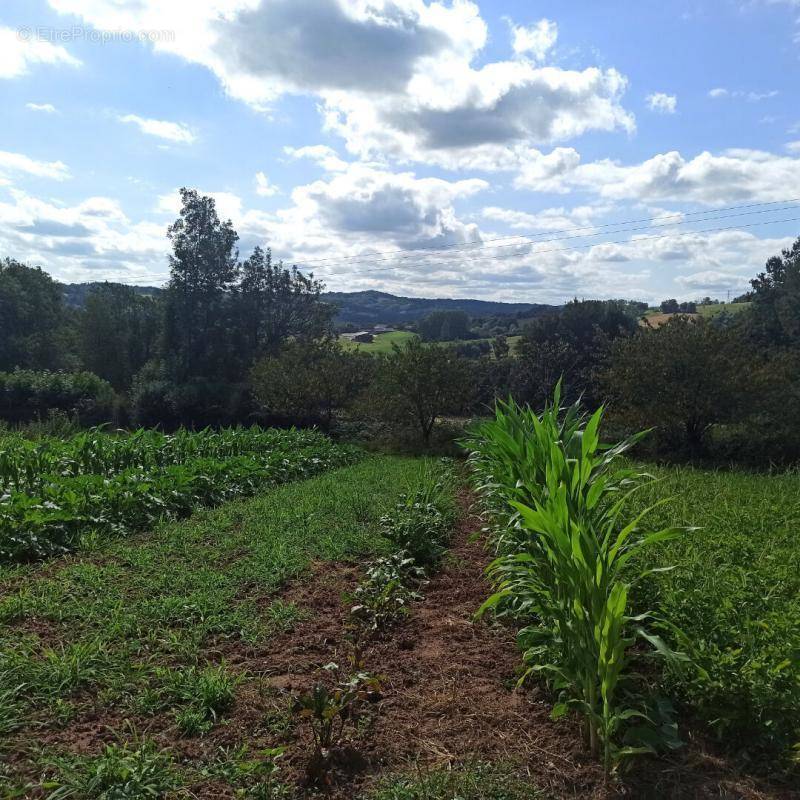 Terrain à MANSAC