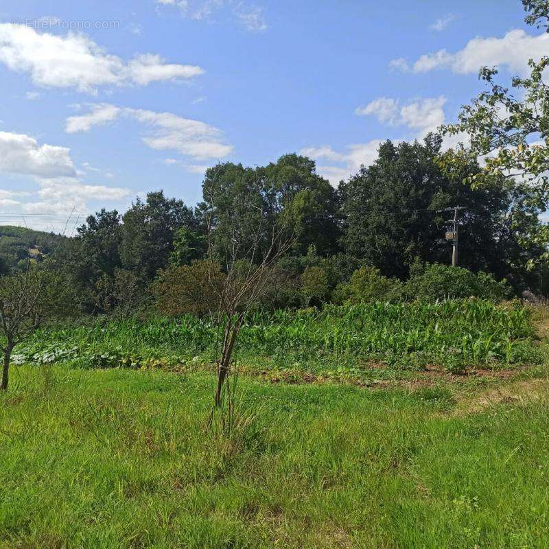 Terrain à MANSAC