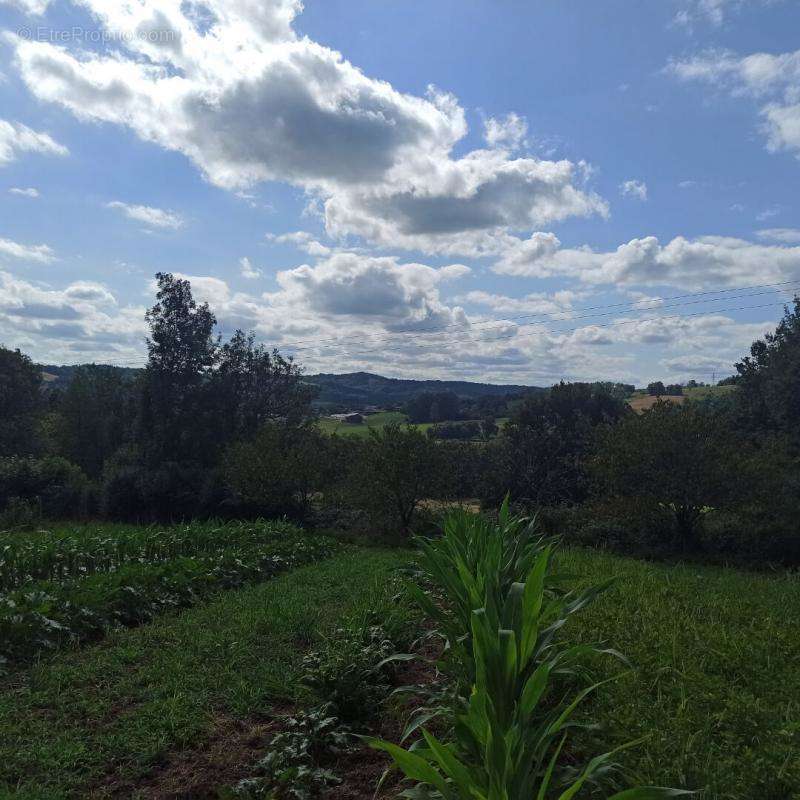 Terrain à MANSAC