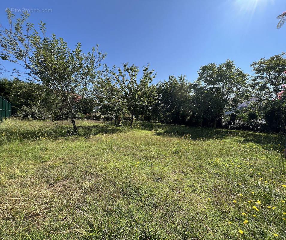 Terrain à ARVERT