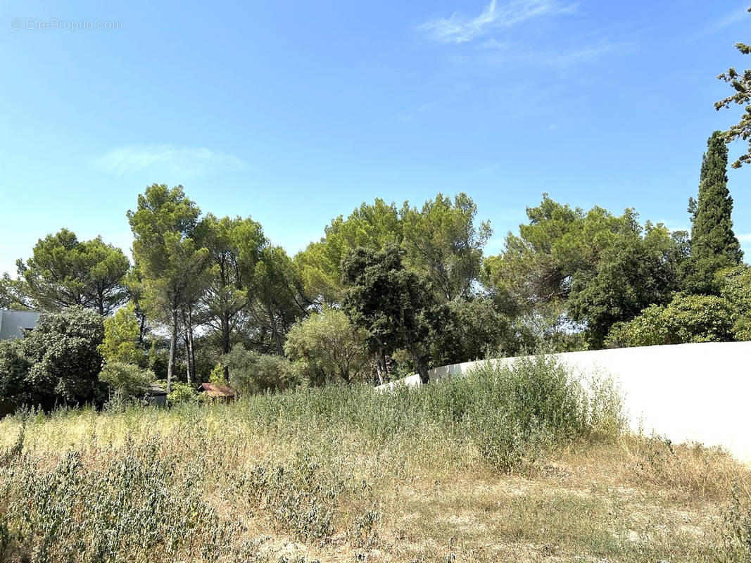 Terrain à VILLENEUVE-LES-AVIGNON