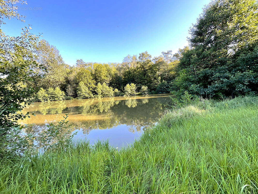 Terrain à POLAINCOURT-ET-CLAIREFONTAINE