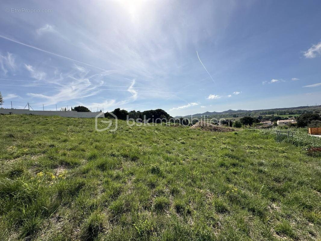 Terrain à MONTFRIN