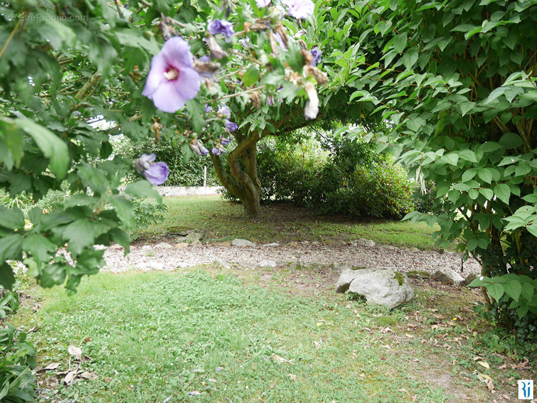 Maison à JUMIEGES