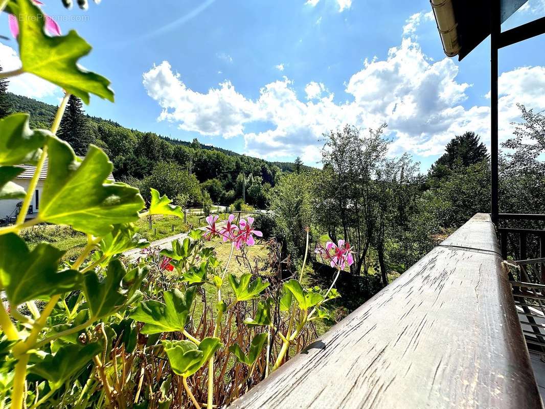 Maison à CHABOTTES