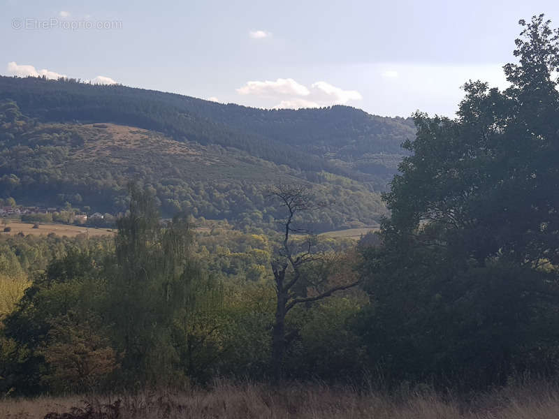 Terrain à LUTZELHOUSE