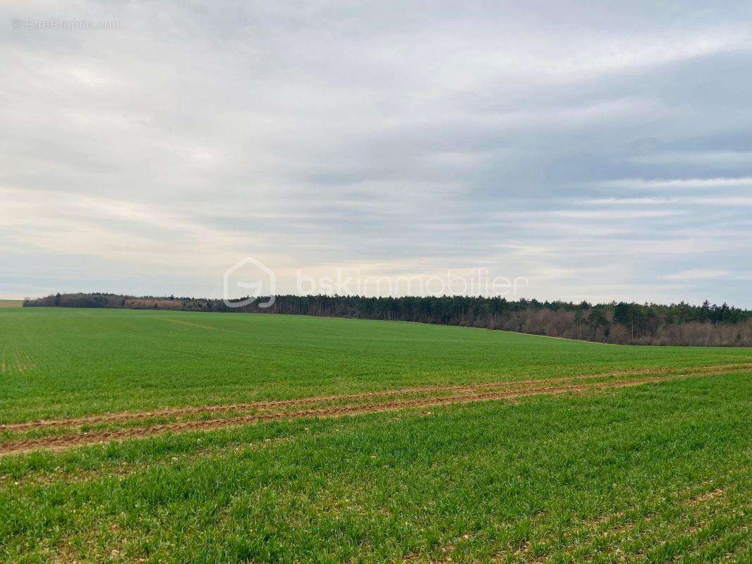 Terrain à CHAUMONT