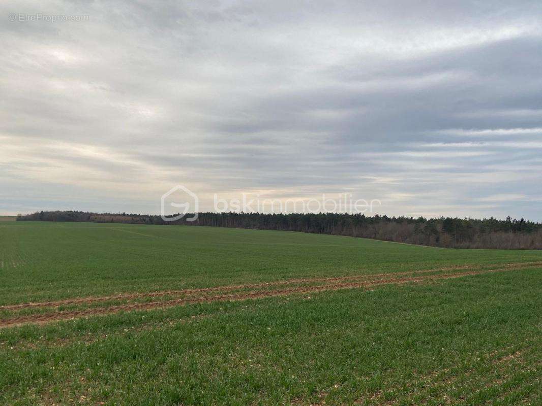 Terrain à CHAUMONT