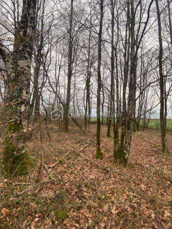 Terrain à CHAUMONT