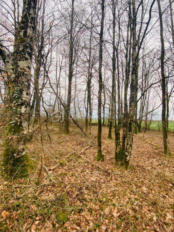 Terrain à CHAUMONT