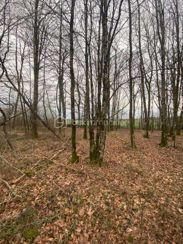 Terrain à CHAUMONT