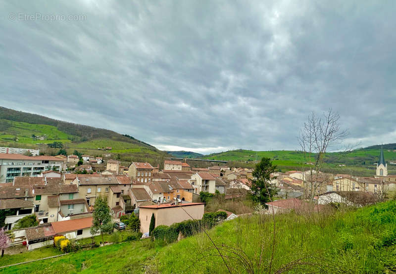 Terrain à PONTCHARRA-SUR-TURDINE