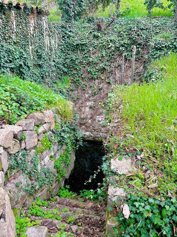 Terrain à PONTCHARRA-SUR-TURDINE