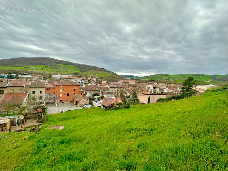 Terrain à PONTCHARRA-SUR-TURDINE