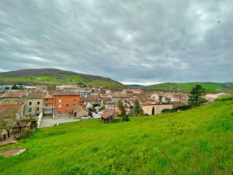 Terrain à PONTCHARRA-SUR-TURDINE