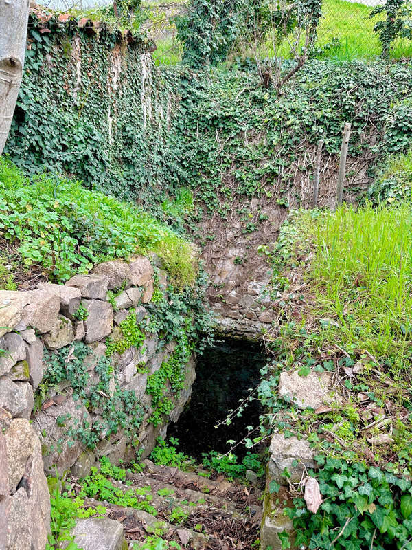 Terrain à PONTCHARRA-SUR-TURDINE