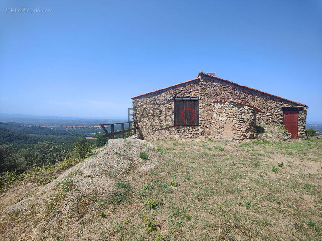 Maison à LAROQUE-DES-ALBERES