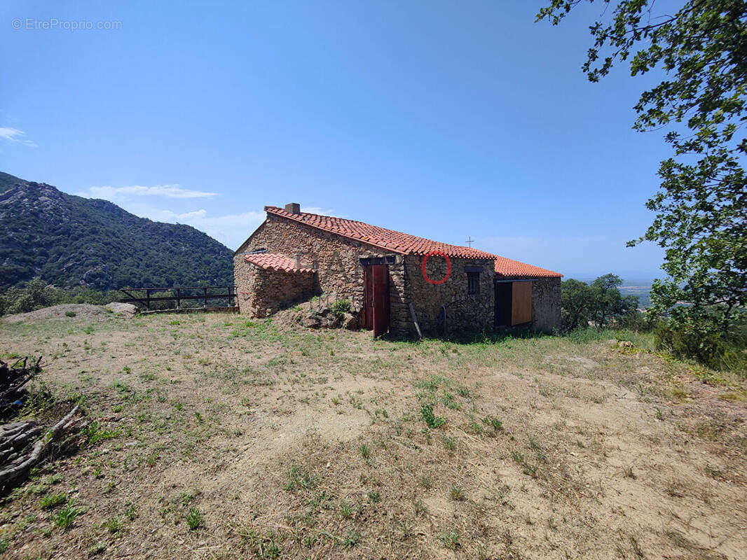 Maison à LAROQUE-DES-ALBERES