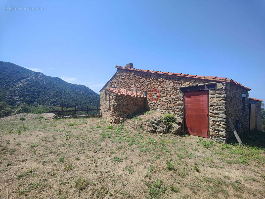 Maison à LAROQUE-DES-ALBERES