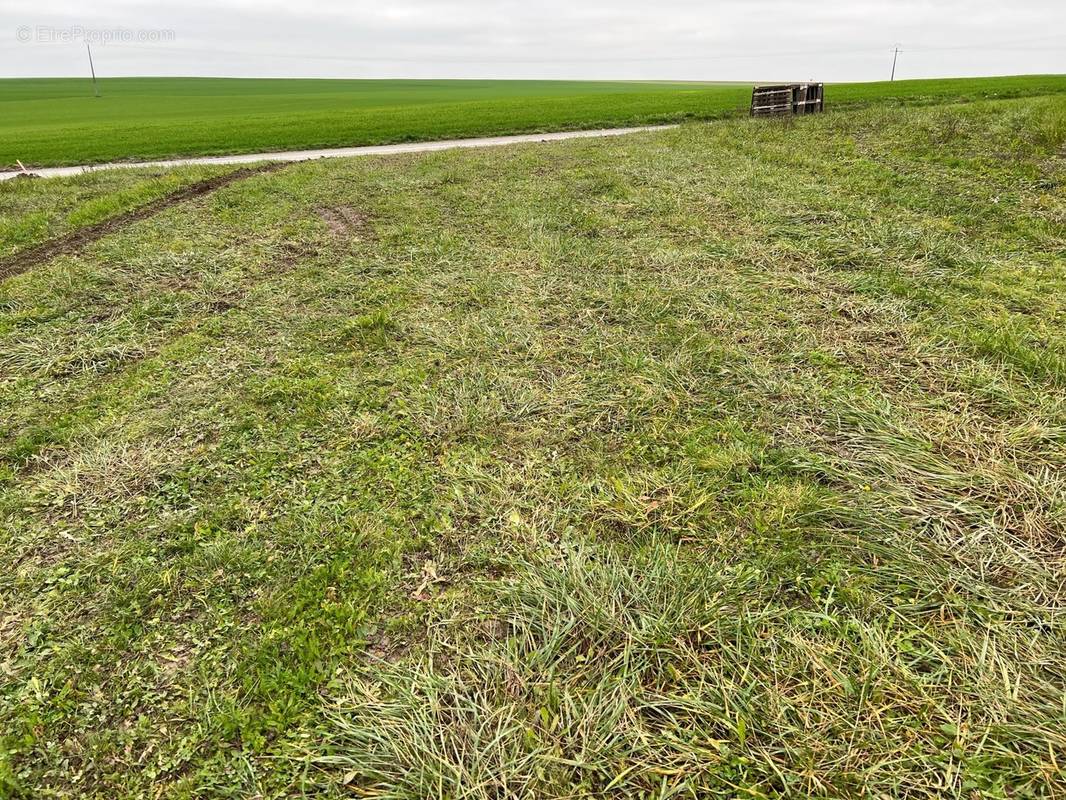 Terrain à JUVIGNY