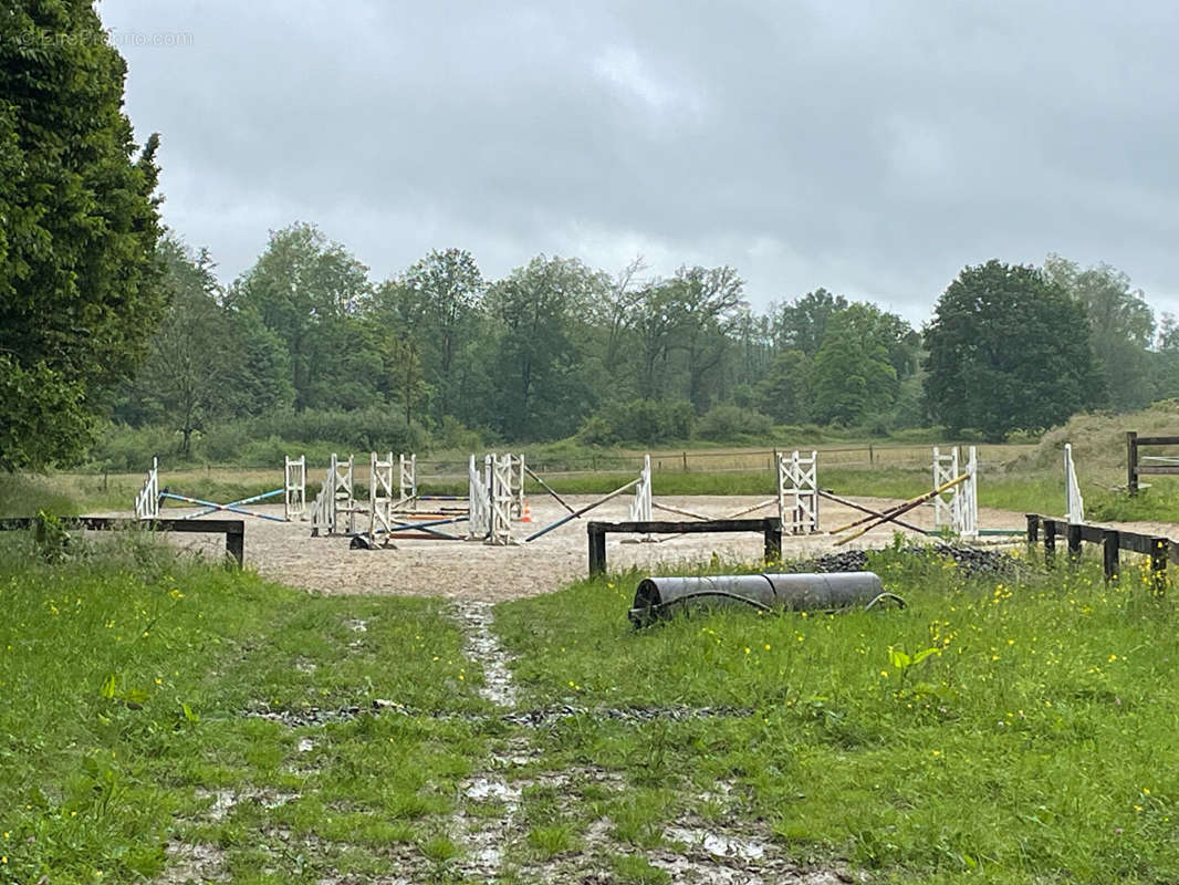 Terrain à SIGNY-LE-PETIT