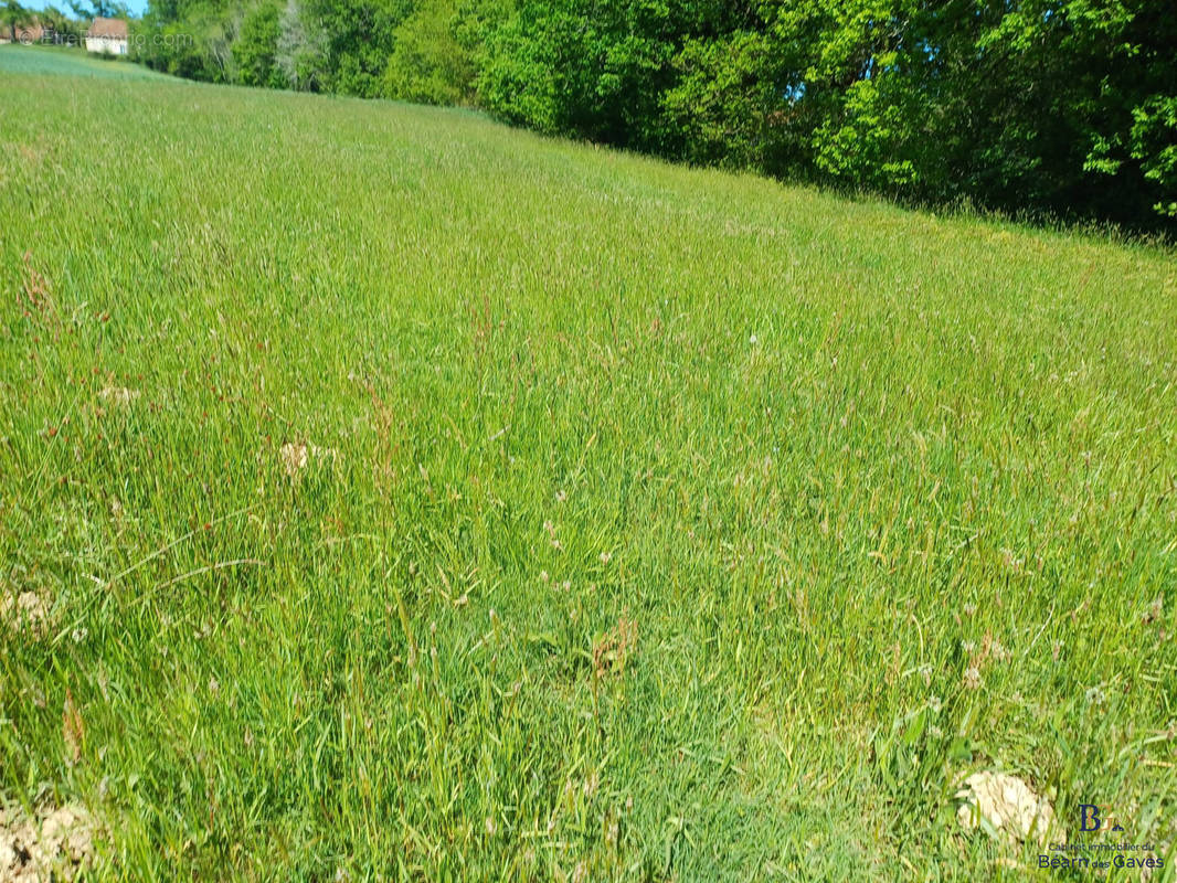 Terrain à SALIES-DE-BEARN