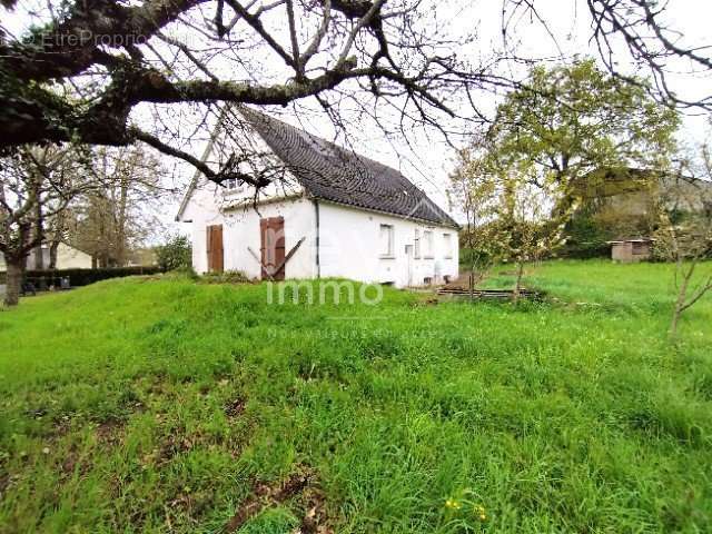 Maison à JUIGNE-SUR-LOIRE