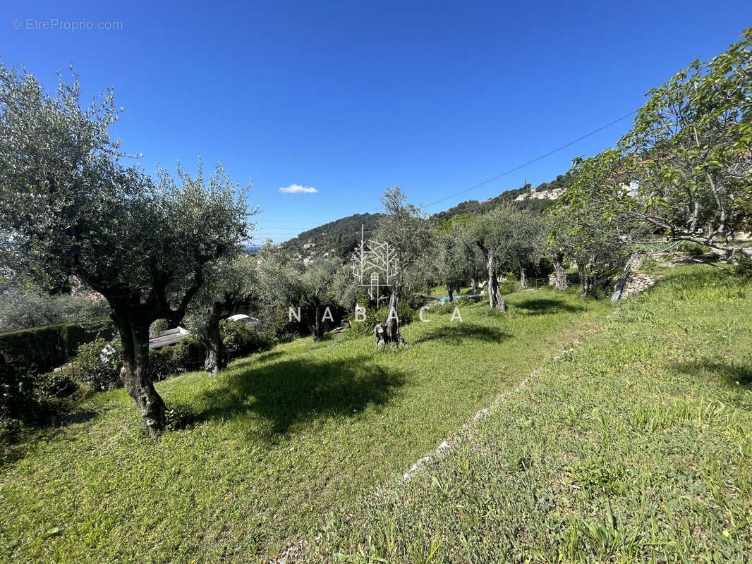 Terrain à GRASSE