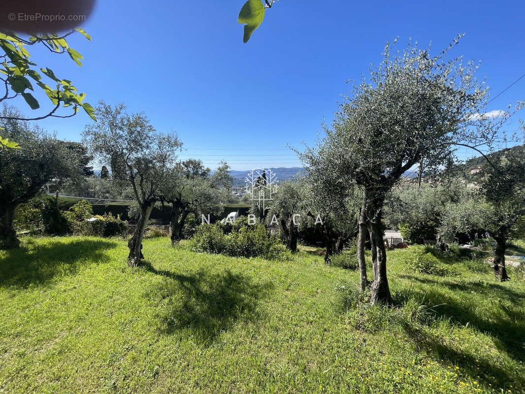 Terrain à GRASSE