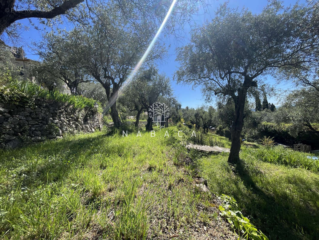 Terrain à GRASSE