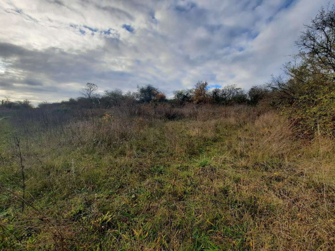 Terrain à DAIX