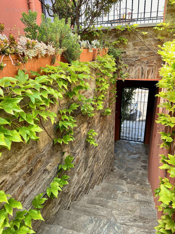 Maison à COLLIOURE