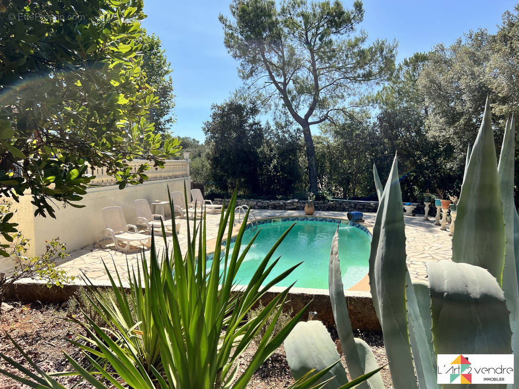 piscine sans vis à vis - Maison à SAINT-MAXIMIN-LA-SAINTE-BAUME