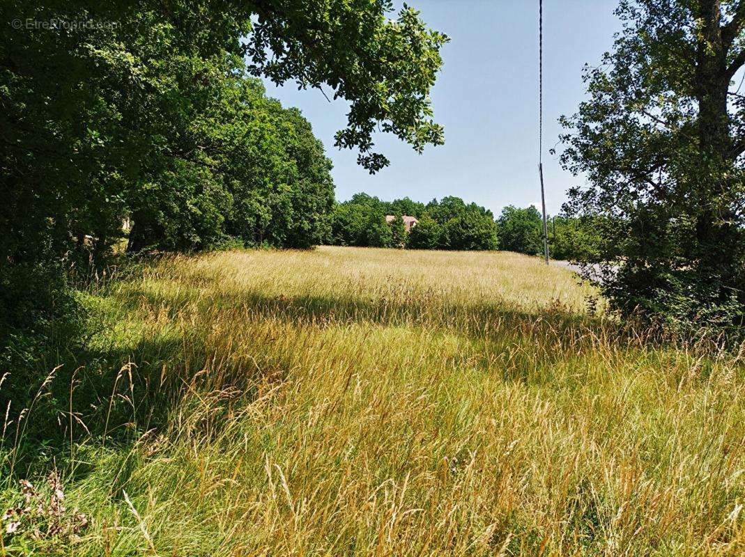 Terrain à CAZALS