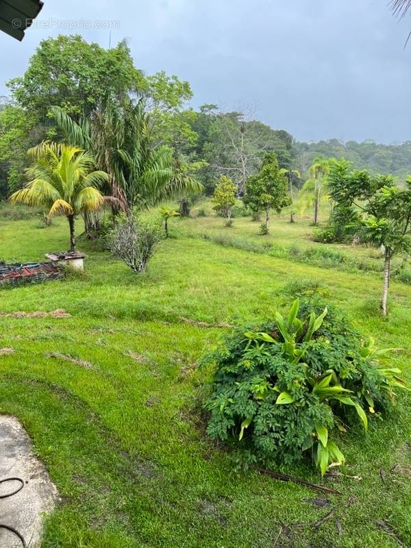 Maison à KOUROU