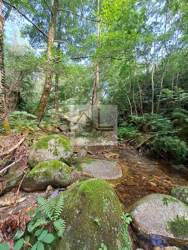 Terrain à GENOLHAC