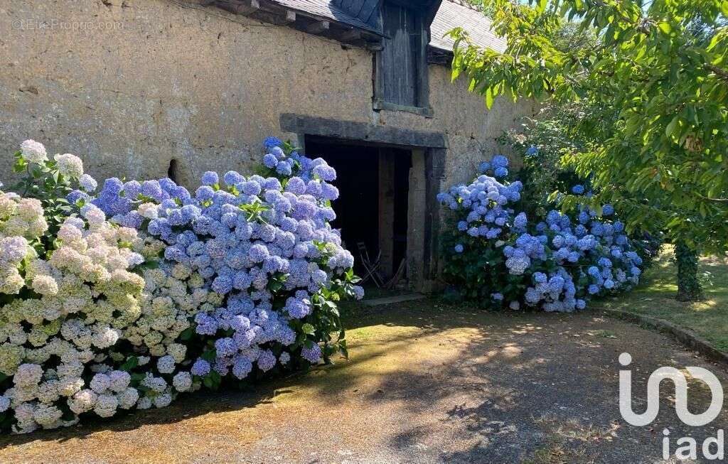 Photo 3 - Maison à CHANTEPIE