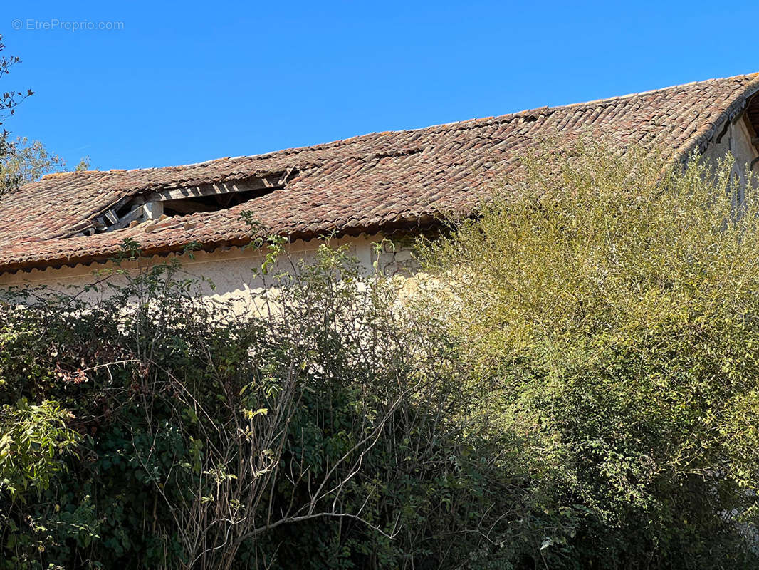 Maison à SAINT-GENES-DE-FRONSAC