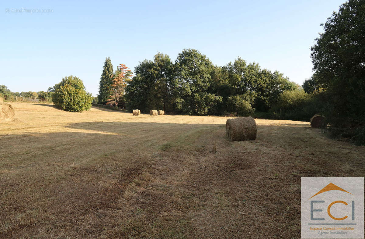 Terrain à BERSAC-SUR-RIVALIER