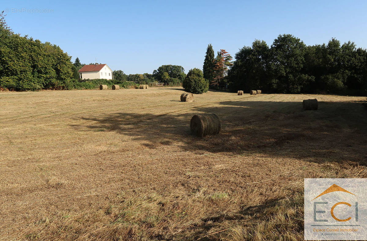 Terrain à BERSAC-SUR-RIVALIER